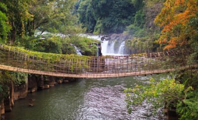 Les meilleurs circuits touristiques en Côte d’Ivoire