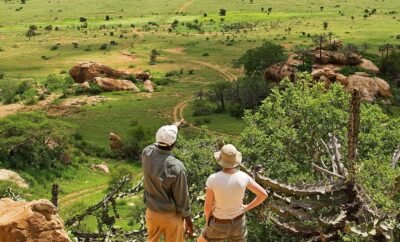 Le Parc National de Taï : Un Joyau de la Biodiversité en Côte d’Ivoire